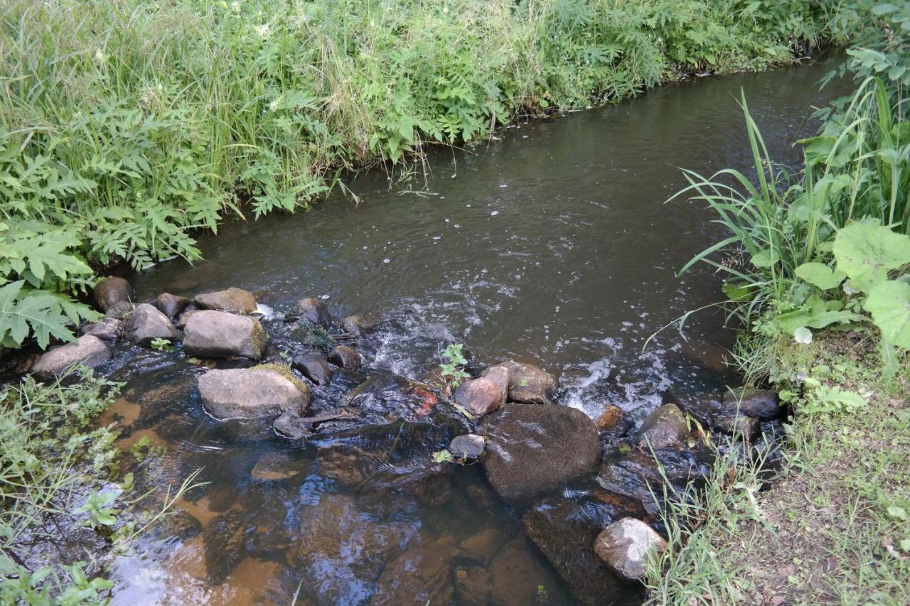 Latava Villa Anykščiai Bagian luar foto